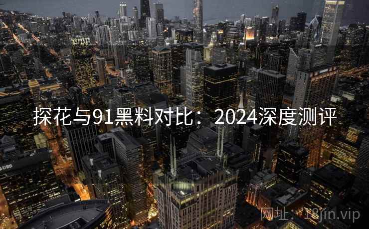 探花与91黑料对比：2024深度测评