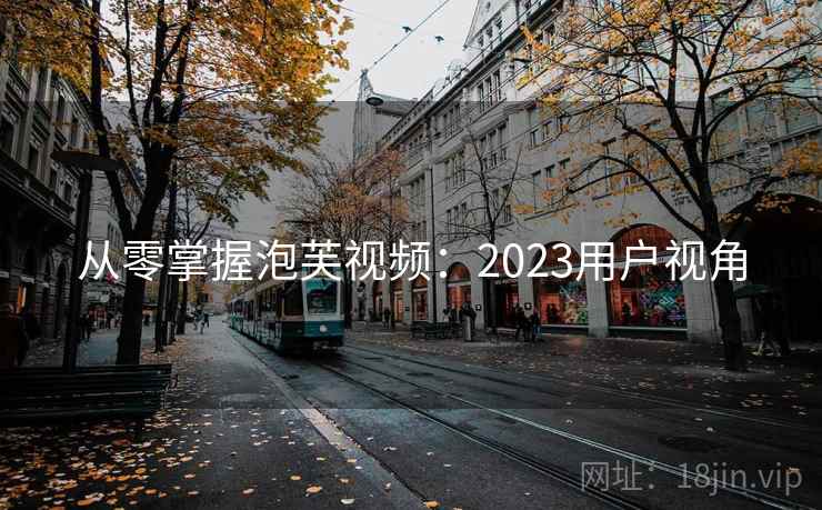 从零掌握泡芙视频：2023用户视角