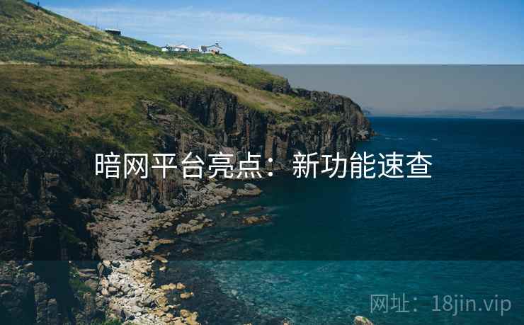 暗网平台亮点：新功能速查
