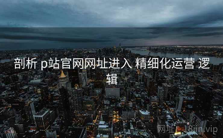 剖析 p站官网网址进入 精细化运营 逻辑