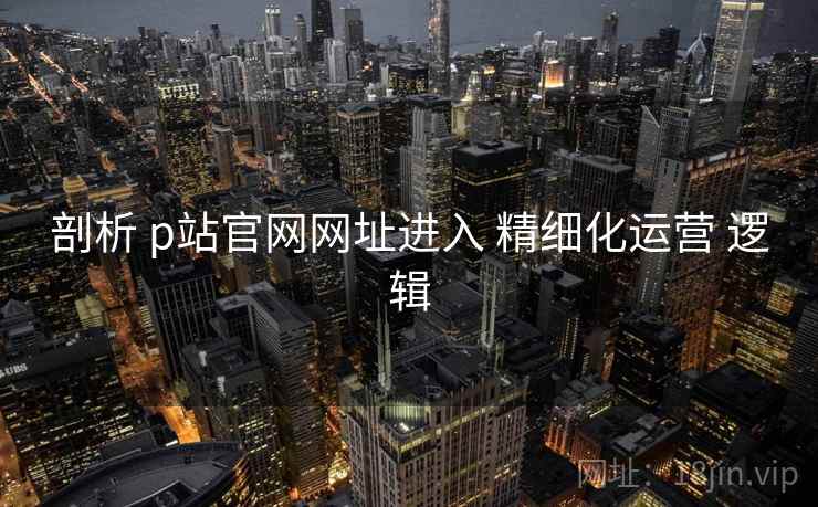 剖析 p站官网网址进入 精细化运营 逻辑