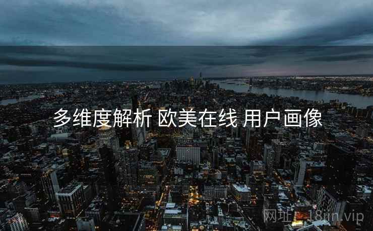 多维度解析 欧美在线 用户画像