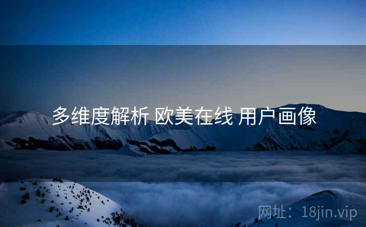 多维度解析 欧美在线 用户画像