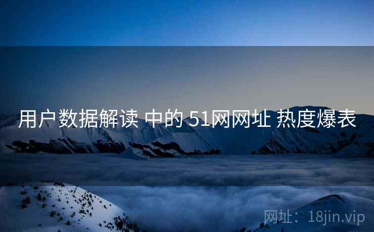 用户数据解读 中的 51网网址 热度爆表